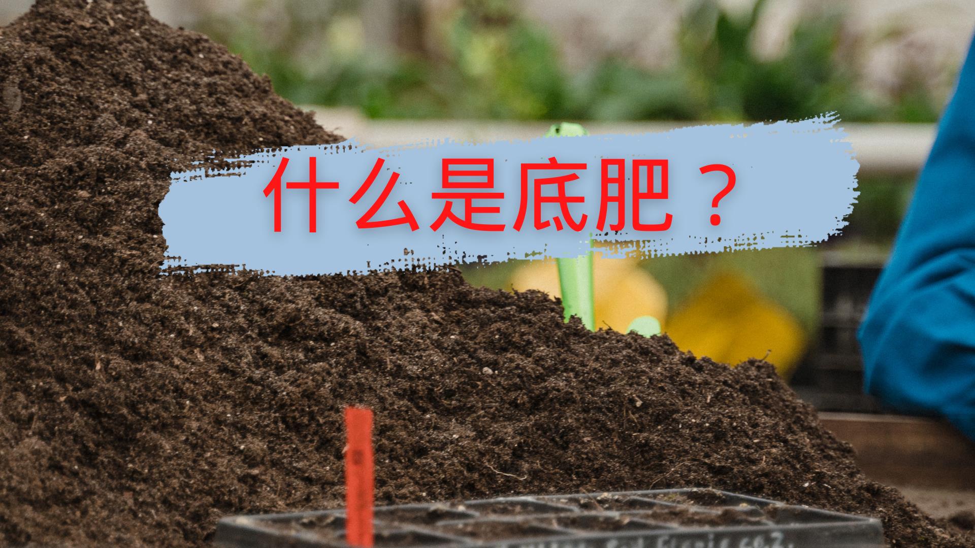 不同种类基肥的效果及使用方法(基肥是什么意思)