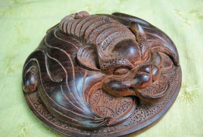 蝙蝠和蚂蚁的象征意义是什么