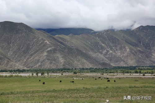 世界上海拔最高的大河雅鲁藏布江，波澜壮阔今人震撼