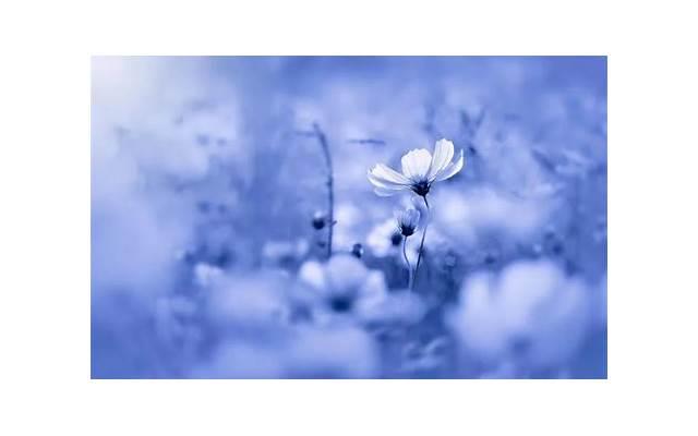 第一次约会女生注意什么(女生第一次约会需要注意的问题)