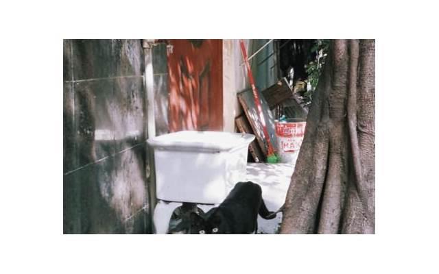  准备结婚了，我跟男友却频繁吵架