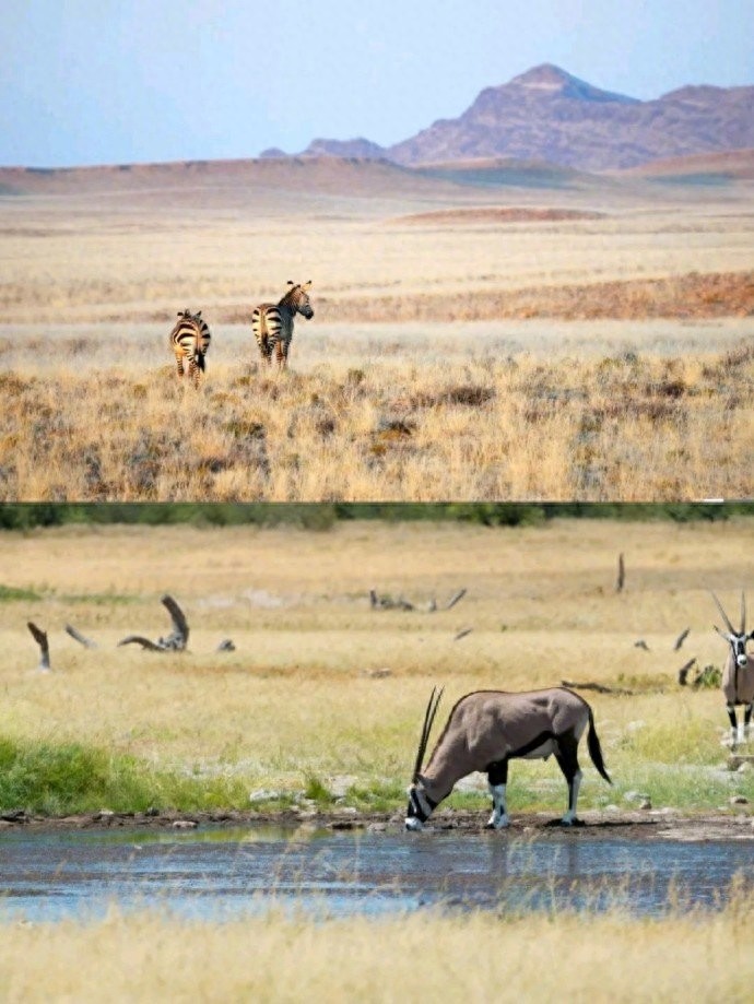 世界上最美最古老的红沙漠，火焰与海洋并存，生态奇景绝世奇观
