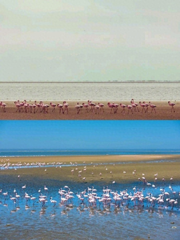 世界上最美最古老的红沙漠，火焰与海洋并存，生态奇景绝世奇观