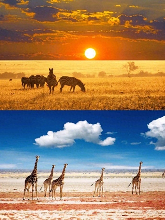 世界上最美最古老的红沙漠，火焰与海洋并存，生态奇景绝世奇观