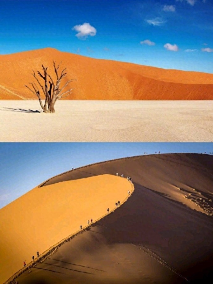 世界上最美最古老的红沙漠，火焰与海洋并存，生态奇景绝世奇观